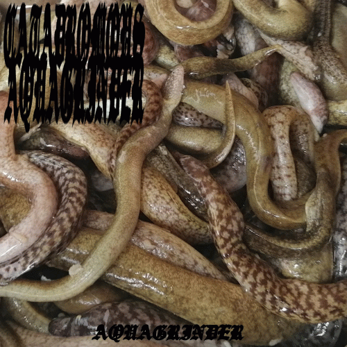 Catadromous Aquagrinder : Aquagrinder